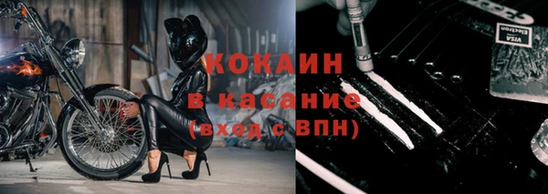 сатива Инта