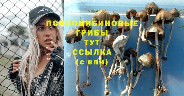 гашик Алексеевка