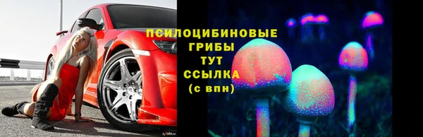 гашик Алексеевка