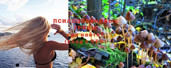 СК Абаза