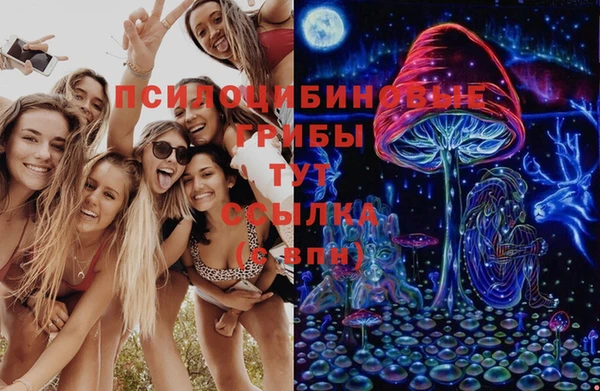 первитин Абинск
