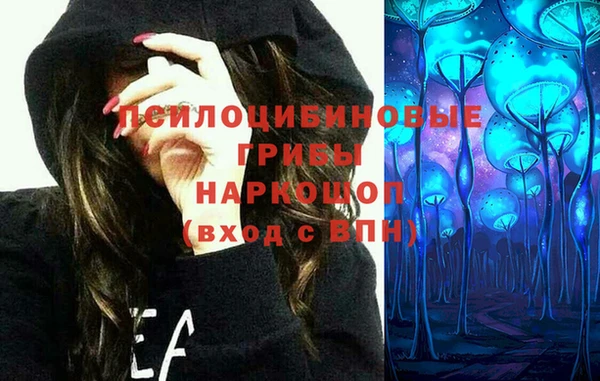 СК Абаза