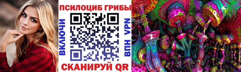 Галлюциногенные грибы мицелий Советская Гавань