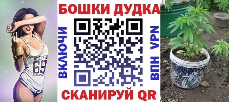 blacksprut сайт  Советская Гавань  Канабис сатива 